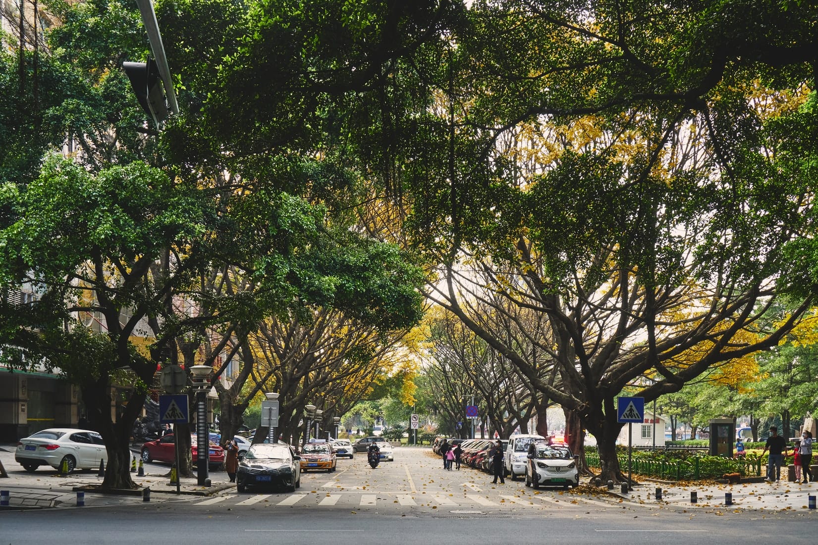 street view